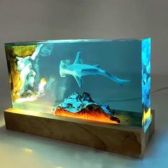 an aquarium with two sharks and other animals in it's display case on a white surface