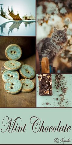 a collage of photos with the words mint chocolate written in different languages and pictures of cats