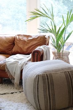 a living room filled with furniture and a plant in a vase next to a window