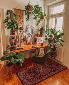 a cat sitting on a green chair in front of a desk with potted plants