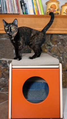 a black cat standing on top of an orange and white box in front of a book shelf