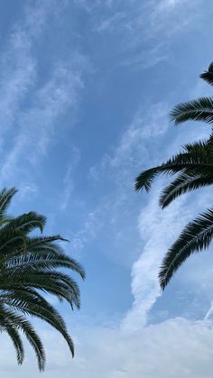 two palm trees against a blue sky with wispy clouds