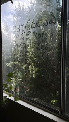 a window with writing on it and a potted plant in the window sill