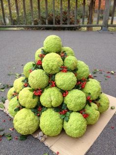 a pile of green fruit sitting on top of a piece of cardboard next to a fence