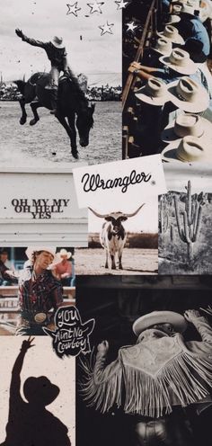 the collage has pictures of cowboy hats and other things on it, including a cow