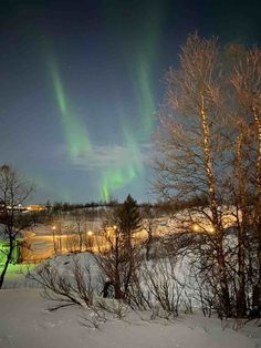 the northern lights shine brightly over trees and snow covered ground in this wintery landscape