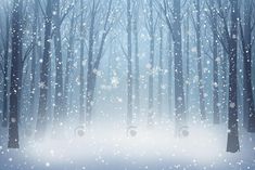 a snowy scene with trees and snow flakes