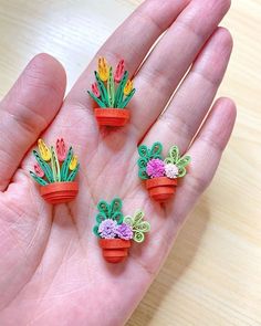 four small flower pots in the palm of someone's hand