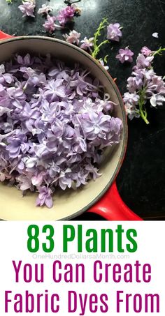 purple flowers in a pot with text overlay that says, 8 plants you can create fabric dyes from