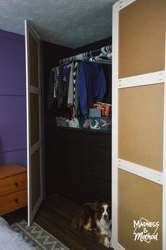 a dog sitting on the floor in front of a closet