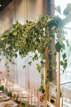 an image of a table setting with greenery on the top and bottom, along with text that reads cascading centerpiece hops vines, also used in the making of