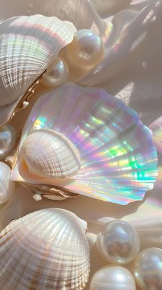 several seashells and pearls are laying on the sand with light shining through them