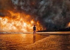 Amazingly Surreal Photo Of The Bush Fire In Australia Bushfires In Australia, Surreal Photos, Fire Service, Emergency Fund, What’s Going On, New South Wales, Queensland, Surrealism, Sydney