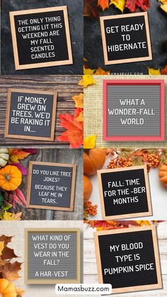 fall letter board quotes Fall Letterboard Quotes, Fall Letterboard, Fall Letter Board, Funny Fall Quotes, Pumpkin Quotes, Fall Chalkboard, Thanksgiving Letter