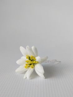 Edelweiss Hair Pin Hair Pin, Necklace And Earrings, Hair Clip, Hair Pins, Hair Clips, Stud Earrings, Hair, Fimo