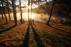 the sun shines through the trees as people sit on the grass by the water