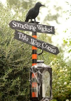 a black bird sitting on top of a street sign