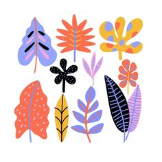 an assortment of colorful leaves on a white background