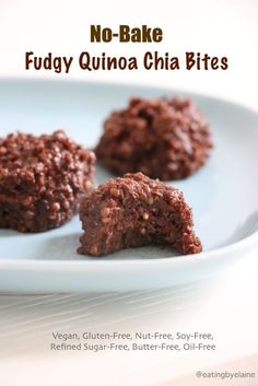 no - bake fudge quinoa chia bites on a white plate