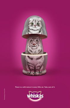 an advertisement for whiska's cat food with two cats sitting in the same bowl