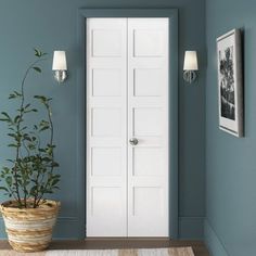 a white door in a blue room with a potted plant on the floor next to it