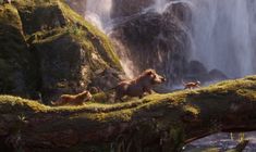 the jungle book is shown in front of a waterfall with animals on it and another animal standing