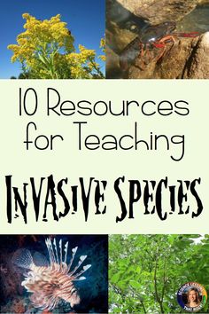 the words, 10 resources for teaching in front of pictures of plants and animals with text overlay