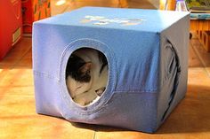 a cat in a blue box on the floor