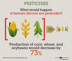 a poster with the words pesticides and what would happen if farmers did not use pesticides