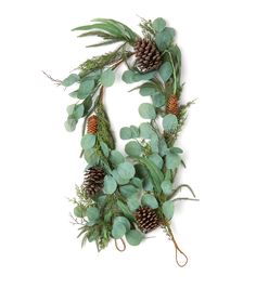 a wreath with pine cones and greenery hanging from the side on a white background