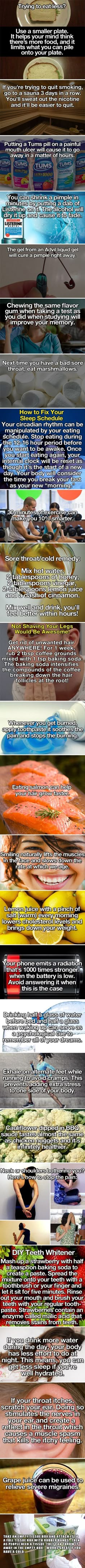 We have rounded up some creative and useful life health hacks that you can start trying now. Useful Life Hacks Diy, 1000 Lifehacks, Info Board, Bohol, Handy Dandy, Health Life, Simple Life Hacks, Makeup Tricks, Hacks Diy