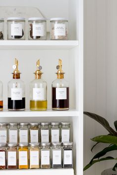 the shelves are filled with different types of spices