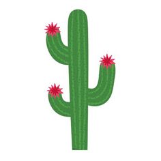 a green cactus with red flowers on it