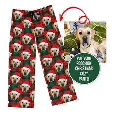 a dog wearing a santa hat and christmas pajamas with the caption put your pooch on christmas cozy pants