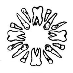 a black and white drawing of many different objects in the shape of a circle on a white background