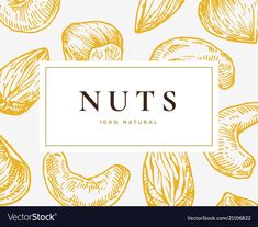 nuts background with place for text