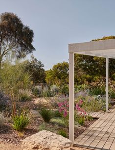 a wooden walkway in the middle of a garden with lots of plants and flowers around it