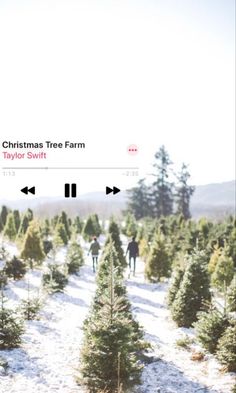 a christmas tree farm with people walking through the trees in the snow, and one person on skis