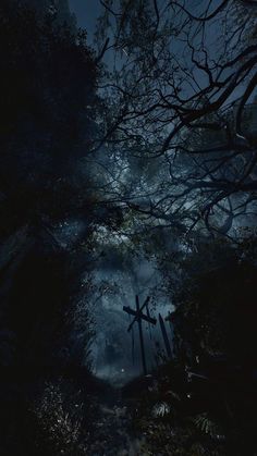 the dark woods are lit up with light from the cross in the center and fog on the ground