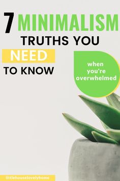 a potted plant with the words 7 minimalism truth you need to know