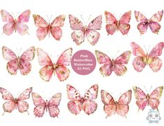 pink butterflies with different colors and sizes