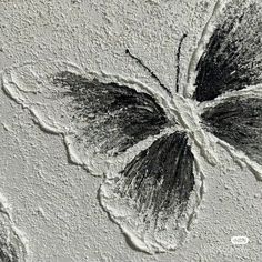 a black and white photo of a butterfly on the wall with some dirt around it