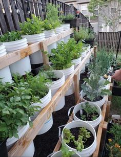 several pots filled with plants on top of a wooden table