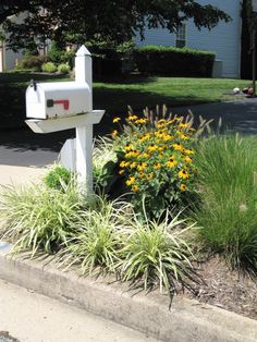 a mailbox in the middle of a flower bed