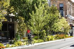 a man riding a bike down a street next to tall buildings and green trees in front of him