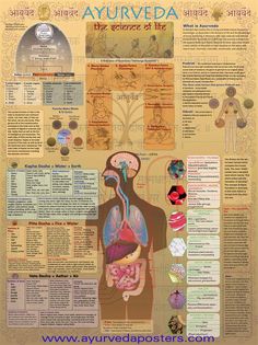 Gallery - Ayurveda posters - www.awakening-intuition.com Occult Anatomy, Energetic Anatomy, Ayurveda Dosha, Kansa Wand, Ayurveda Vata, Ayurvedic Massage, Ayurvedic Recipes