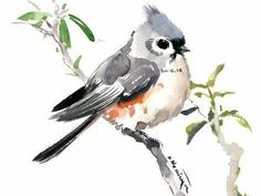 a watercolor painting of a bird sitting on a branch with leaves and flowers in the background