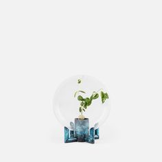 a small plant in a glass vase on top of a white surface with blue letters