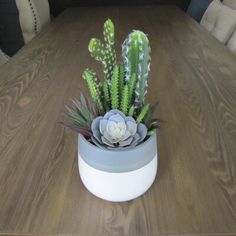 a succulent plant sits in a white container on a wooden dining room table