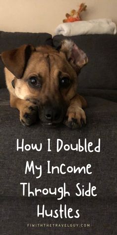 a dog laying on top of a couch with the words how i doubled my income through side hustles